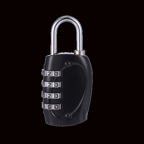Read more about the article How do I reset my padlock?